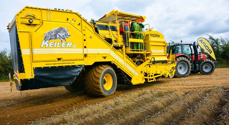 Arracheuse récolteuse à pommes de terre - Machine à patate