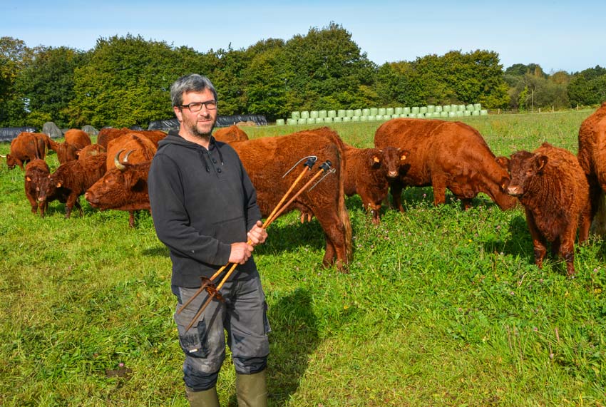 L’éleveur mise avant tout sur des espèces variées dans ses pâtures, pour offrir une flore abondante à ses vaches. - Illustration Un engraissement des Salers au poil et à l’œil