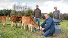 Depuis quelques années, Vincent Daboudet, Jean-Jacques Poilvert et Olivier Guillemet ont opté pour le croisement trois voies (Rouge scandinave, Jersiaise et Holstein néo-zélandaise) « pour gagner en rusticité et profiter de l’effet d’hétérosis ». Récemment, ils ont acheté six femelles Jersiaises.