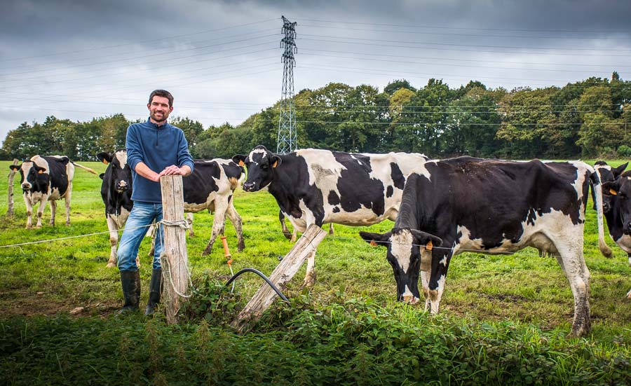 En partenariat avec le Cédapa, Guillaume Robin ouvrira ses portes sur le thème « S’installer en système herbager », ce mardi 3 octobre, à Mûr-de-Bretagne (lieu-dit Kerdanio, dès 14 h). - Illustration « S’installer, c’est faire des choix »