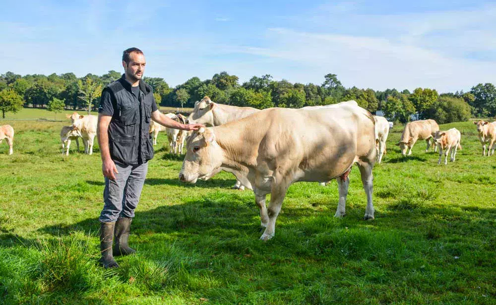 « Les prairies de l’exploitation sont constituées de multiples espèces, mais aussi de joncs moins appréciés des vaches… », explique Antoine de Vallavieille. - Illustration Analyses et pesées pour piloter au mieux les rations