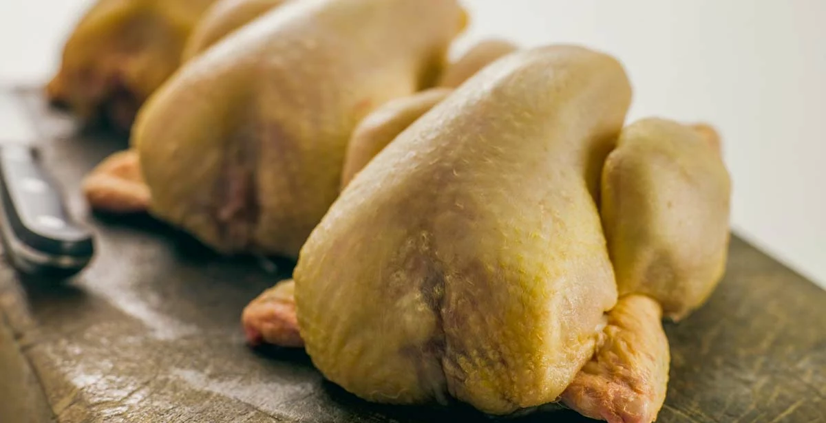 volaille-de-chair-viande-poulet - Illustration Une santé stable malgré des résultats mitigés en volaille de chair