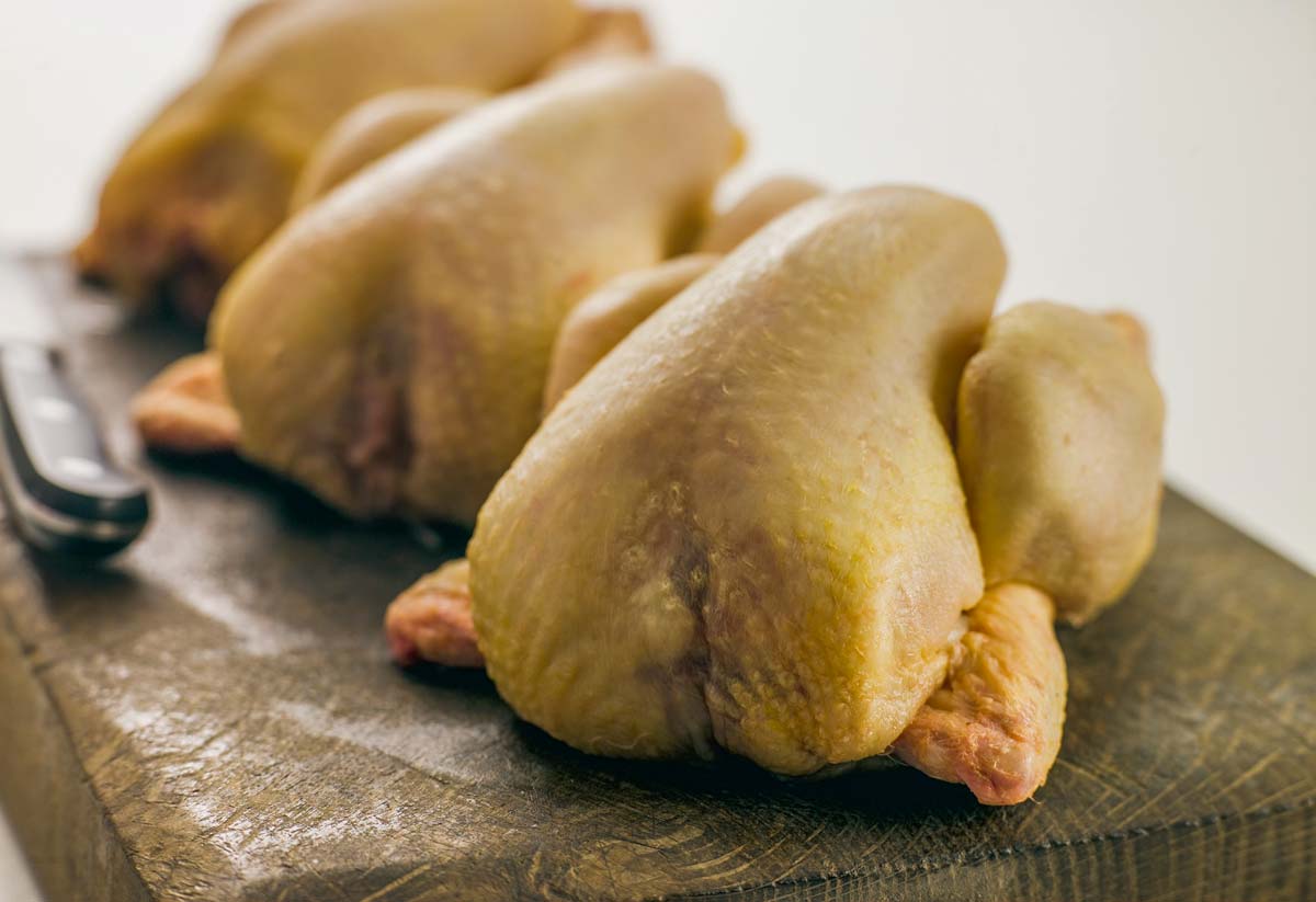 volaille-de-chair-viande-poulet - Illustration Une santé stable malgré des résultats mitigés en volaille de chair