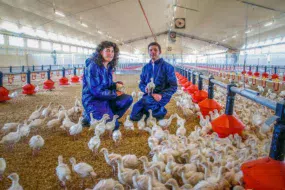 Sylvaine et Christophe Dano dans la poussinière de 1 800 m2