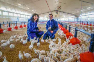 Sylvaine et Christophe Dano dans la poussinière de 1 800 m2