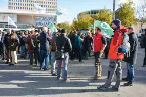 MAnif-bio-Rennes