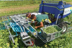 Autonome, l’engin peut travailler jusque 30 h sans être rechargé.