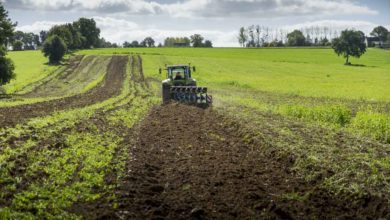 Photo of Les aides bio maintenues en 2018 en Bretagne : un choix ambitieux