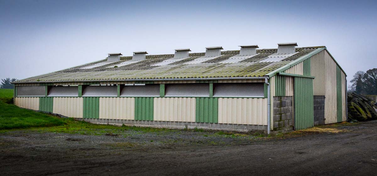 Des entrées d’air par des volets translucides avec des joues ont été ajoutées en façade plutôt qu’en toiture, Et des sorties d’air ont été créées grâce à six cheminées ajoutées en toiture.  - Illustration Un bâtiment ventilé pour les jeunes génisses