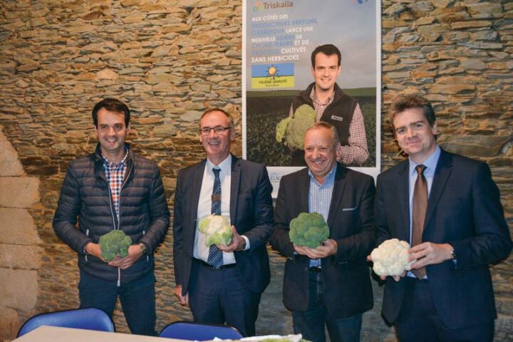 De gauche à droite : François Le Bihan, producteur de légumes, Bernard Le Brech, directeur régional Carrefour, Georges Galardon, président de Triskalia et David Deschamps, directeur de la catégorie surgelés Carrefour.