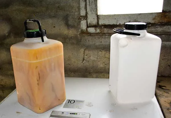 Le colostrum est congelé à la ferme en bidon de 10 L. L’éleveur le livre ensuite à la coopérative.