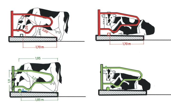 Adapter les dimensions des logettes (source Chambre d'agriculture)