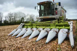 mais-grain-moissonneuse-claas