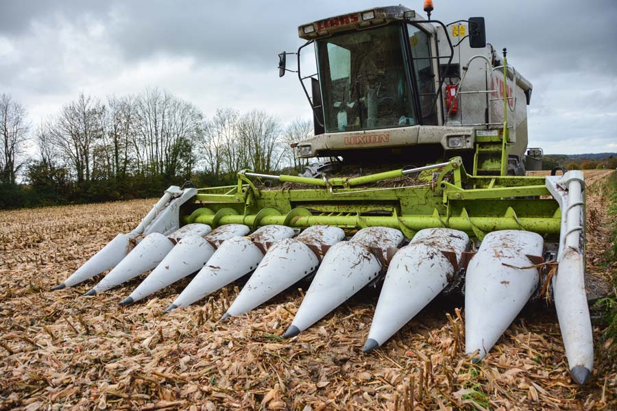 mais-grain-moissonneuse-claas - Illustration Maïs grain : des surfaces en baisse mais des rendements en hausse