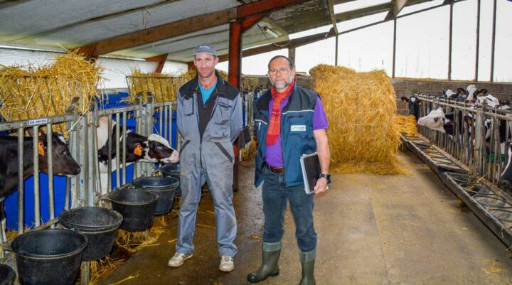 Nicolas Prigent et Hervé Berdellou, GDS Bretagne, devant les cases individuelles dans la nurserie. 