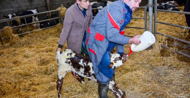 Pour une bonne gestion de la période sèche | Journal Paysan Breton