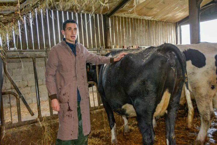 Pour Kevin Le Roux, vétérinaire, « des papilles ruminales longues rentabilisent l’énergie de la ration ». 