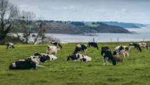 La Bretagne est aujourd’hui dans le groupe de tête des bons élèves français en termes de qualité de l’eau.