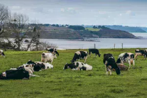 La Bretagne est aujourd’hui dans le groupe de tête des bons élèves français en termes de qualité de l’eau.