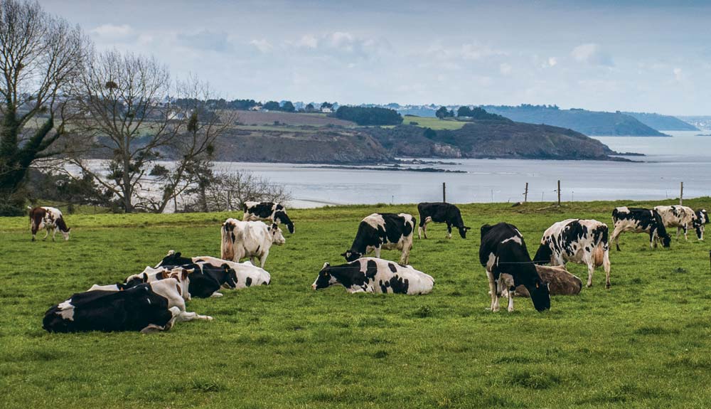 La Bretagne est aujourd’hui dans le groupe de tête des bons élèves français en termes de qualité de l’eau. - Illustration Faut-il craindre le 6e programme directive nitrates ?