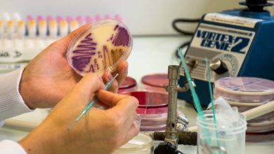 Photo of Des traitements aux antibiotiques plus courts