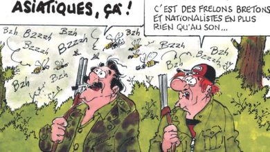 Photo of Les dessins de Malo Louarn – Octobre 2017