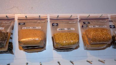 Photo of Des complémentaires faits maison