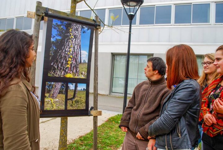 L’objectif est de favoriser l’accès à la culture des personnes handicapées et de leur donner la possibilité de mener à bien un projet artistique.