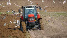 Dans un contexte de développement des résistances aux herbicides, le labour est une solution très efficace pour diminuer la pression en mauvaises herbes.