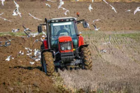 Dans un contexte de développement des résistances aux herbicides, le labour est une solution très efficace pour diminuer la pression en mauvaises herbes.