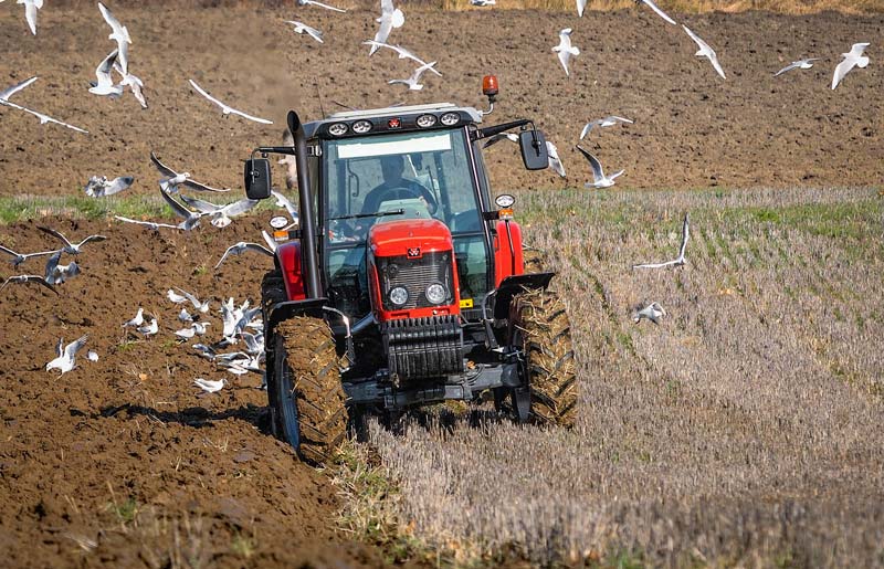 Dans un contexte de développement des résistances aux herbicides, le labour est une solution très efficace pour diminuer la pression en mauvaises herbes. - Illustration De la résistance aux herbicides en Bretagne