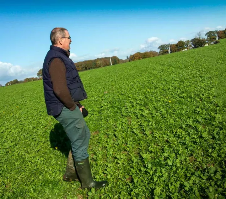 En décembre, les vaches laitières de Ludovic Massard effectueront le dernier tour de nettoyage pour préparer la pousse du printemps prochain, sur toute la surface accessible.