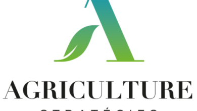 Photo of Agriculture stratégies propose de créer un Conseil de sécurité alimentaire mondial