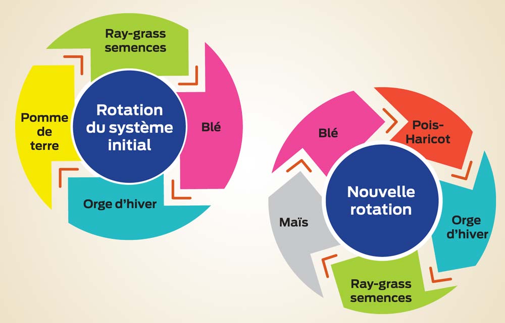  - Illustration Une rotation plus longue pour gérer les adventices