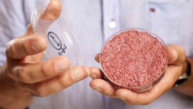 Photo of Etats-Unis : La FDA organise un débat sur la viande cultivée en laboratoire