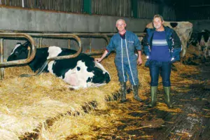 Jean-Pierre Bidan, ici accompagné de Bernard Le Guern, du GDS 22 (à droite). Les logettes sont copieusement paillées et nettoyées tous les jours (environ une heure de travail). Le racleur est également passé dans les aires d’exercice tous les jours. Pendant la période estivale, les logettes sont lavées avec une pompe haute pression.