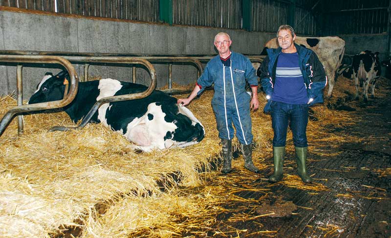 Jean-Pierre Bidan, ici accompagné de Bernard Le Guern, du GDS 22 (à droite). Les logettes sont copieusement paillées et nettoyées tous les jours (environ une heure de travail). Le racleur est également passé dans les aires d’exercice tous les jours. Pendant la période estivale, les logettes sont lavées avec une pompe haute pression. - Illustration Plus aucune pénalité et des mammites devenues rares