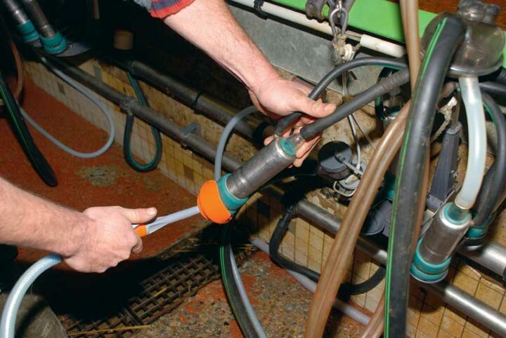 Grâce à une pompe doseuse, l’intérieur des manchons est pulvérisé avec du désinfectant entre chaque vache.