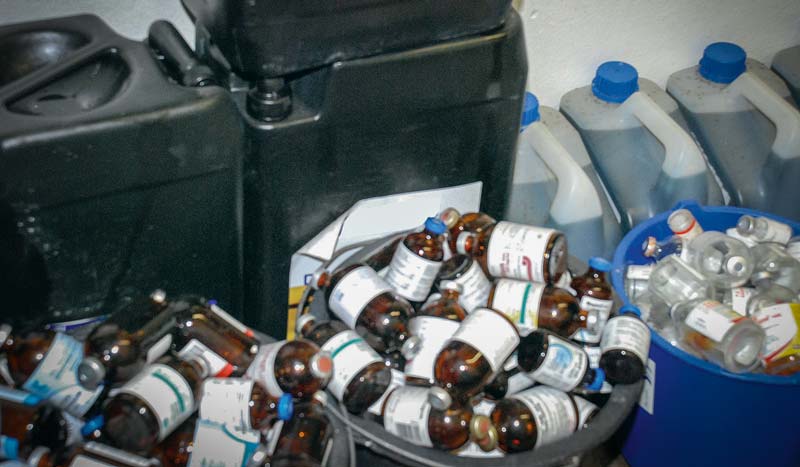 Le traitement des mammites absorbe 2/3 des antibiotiques utilisés en élevage laitier.