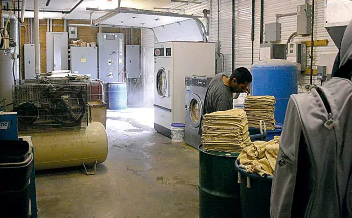 « Aux Etats-Unis, la traite est beaucoup plus standardisée et structurée, basée sur des protocoles stricts. Ces systèmes de lavage des lavettes l’illustrent. »