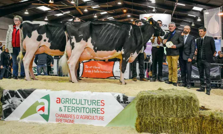 Anicia du Petit Rocher (devant) lors de la remise du prix de Meilleur couple « mère-fille ».