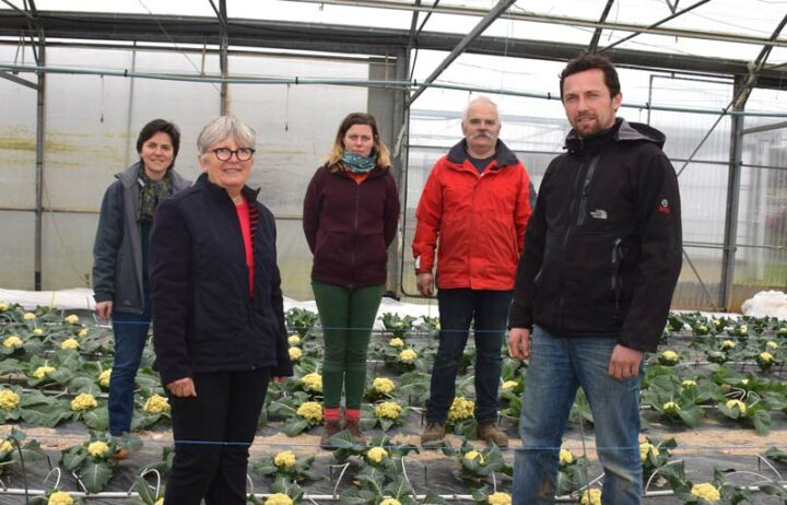 Marie-Claire Adam (au premier plan) s'est entourée d'une équipe dynamique et compétente : Céline Jacq, Marion Quillet, Hervé Prat et Simon Mernet.