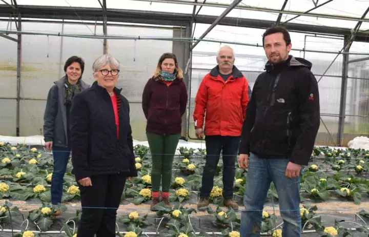 Marie-Claire Adam (au premier plan) s'est entourée d'une équipe dynamique et compétente : Céline Jacq, Marion Quillet, Hervé Prat et Simon Mernet.