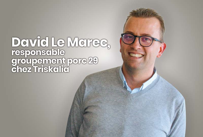 David-Le-Marec - Illustration Apprentissage : Trouver un profil de candidat en phase avec l’équipe