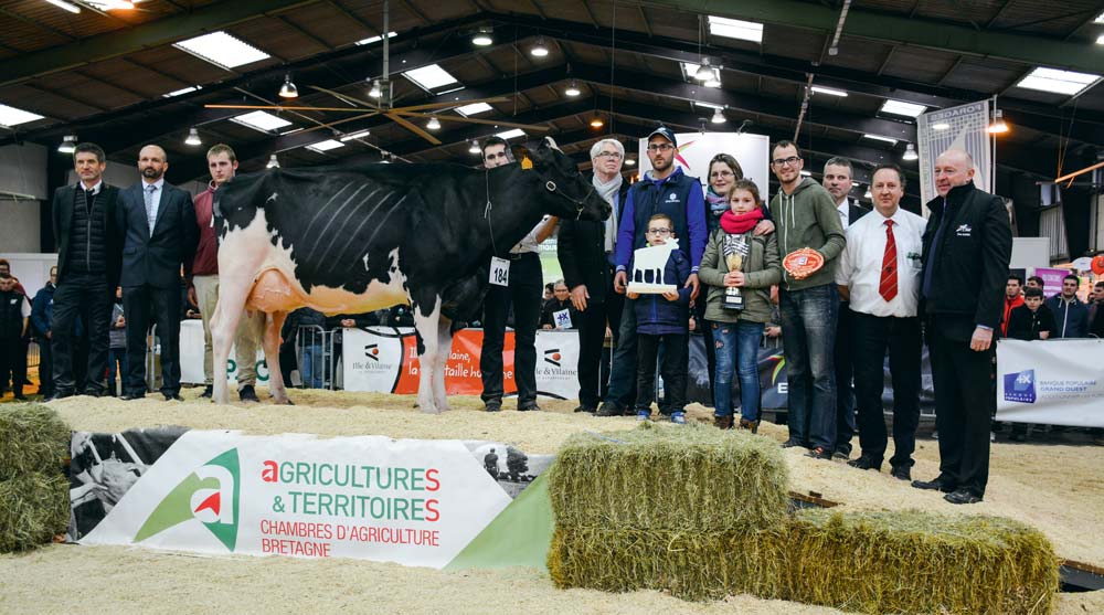 Ikaye, Grande Championne et Meilleure mamelle adulte du concours. - Illustration Concours Prim’Holstein : Ikaye entre dans le sérail