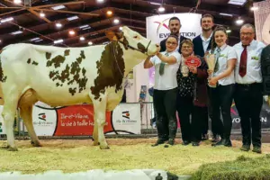 Lolistar, à l’EARL de la Villechère, Championne du concours montbéliard 2018.