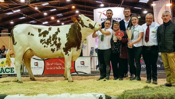 Lolistar, à l’EARL de la Villechère, Championne du concours montbéliard 2018.