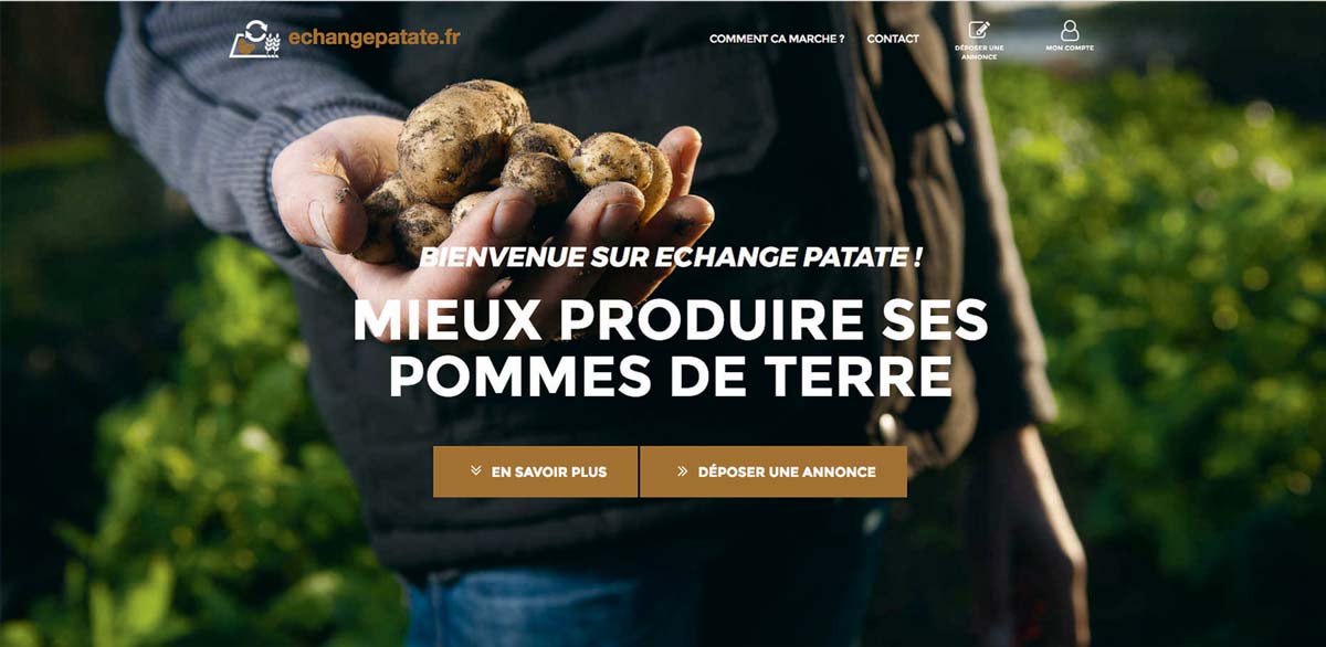 POMME-DE-TERRE-echange-patate - Illustration L’émergence d’une économie collaborative version monde agricole