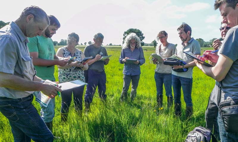 Le jury se rend sur les parcelles afin de juger à la fois l’intérêt agronomique de la parcelle pour l’exploitation et la diversité des plantes présentes. - Illustration Le concours des prairies fleuries 2018 est lancé