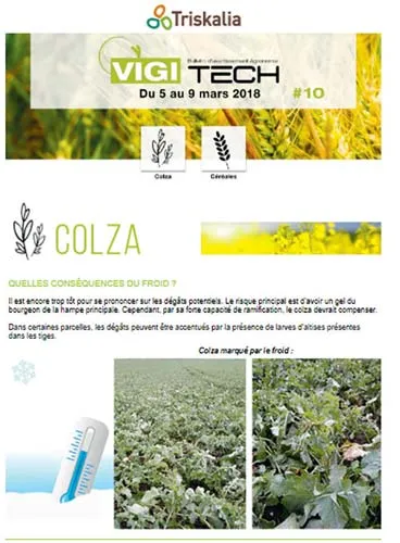 Une fois toutes les observations compilées, un bulletin d’information est émis à destination des techniciens et des adhérents Triskalia qui le souhaitent.